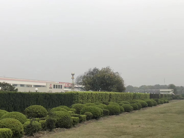 五保戶因交通事故致死獲賠的賠償金歸誰所有？深圳法律咨詢網告訴您