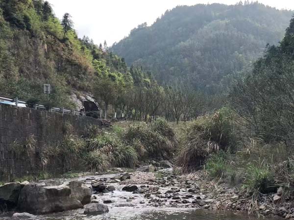 深圳婚姻繼承律師一文解析無法證明夫妻關系的遺產糾紛案件如何判決？
