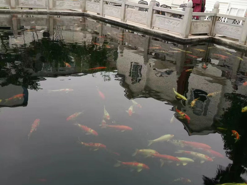 深圳市拆遷律師告訴您廠房被以違建之名拆遷該怎么辦