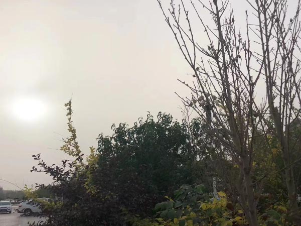 深圳法律咨詢網專業律師講解最新《土地管理法》明確提出的土地審批程序