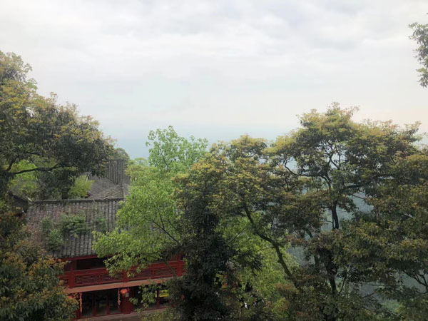 深圳知名婚姻律師教您如何走出離婚的陰影